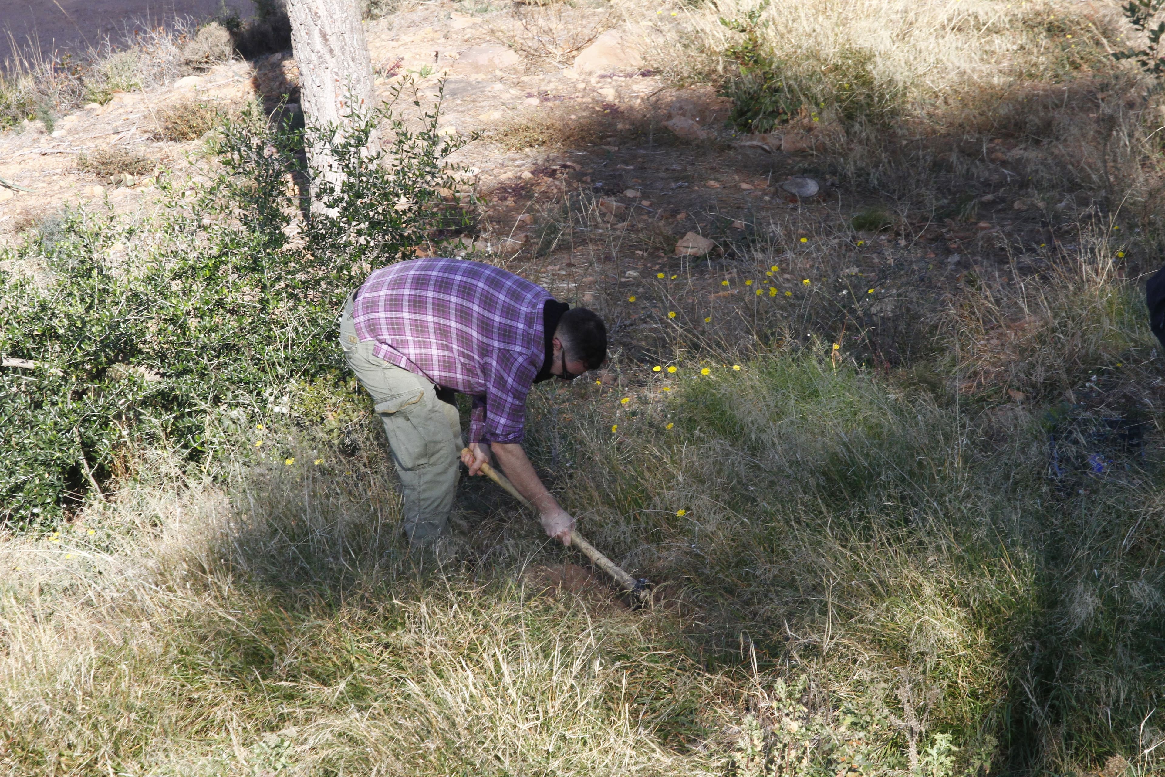 La Costera