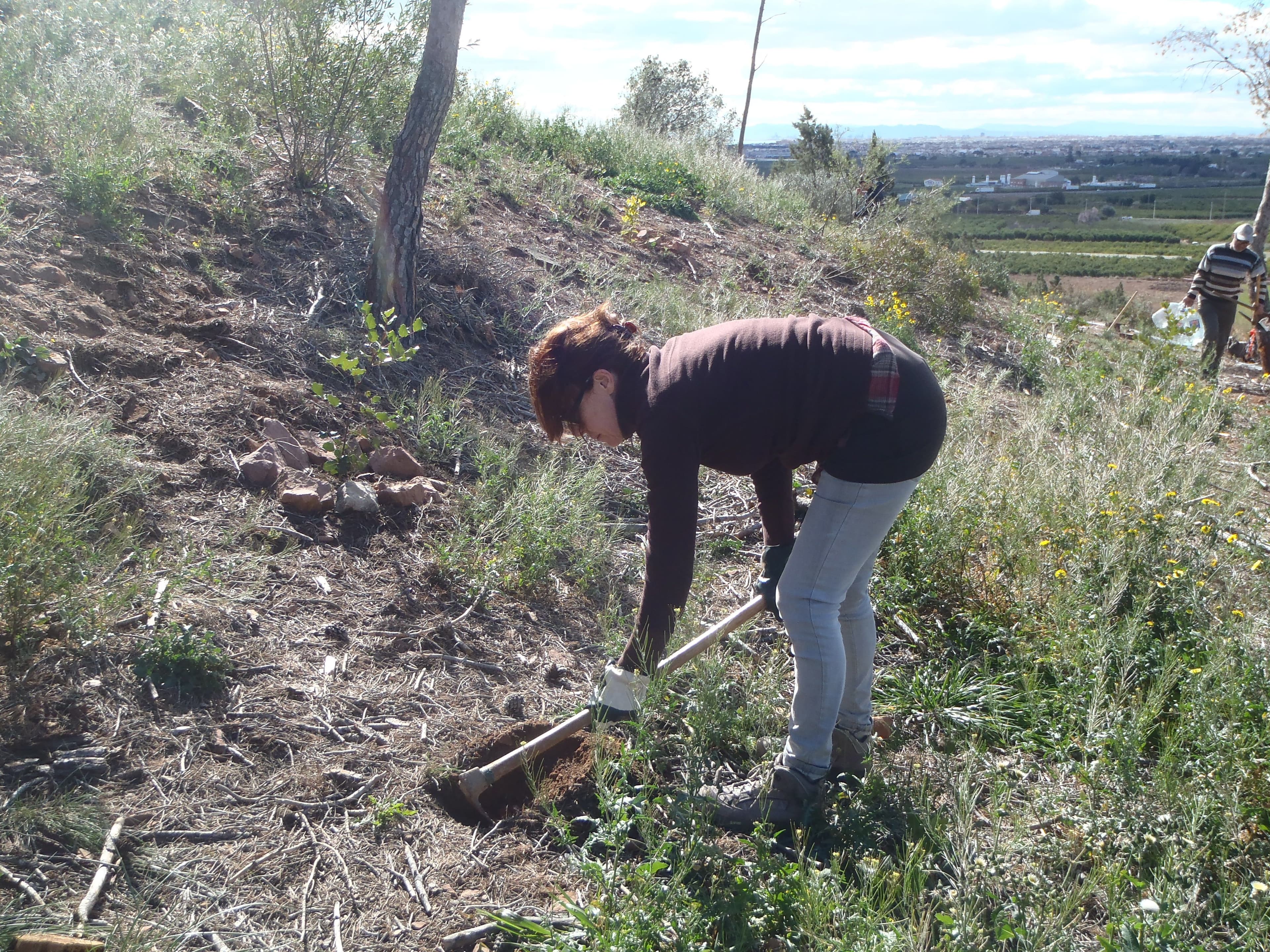 La Costera